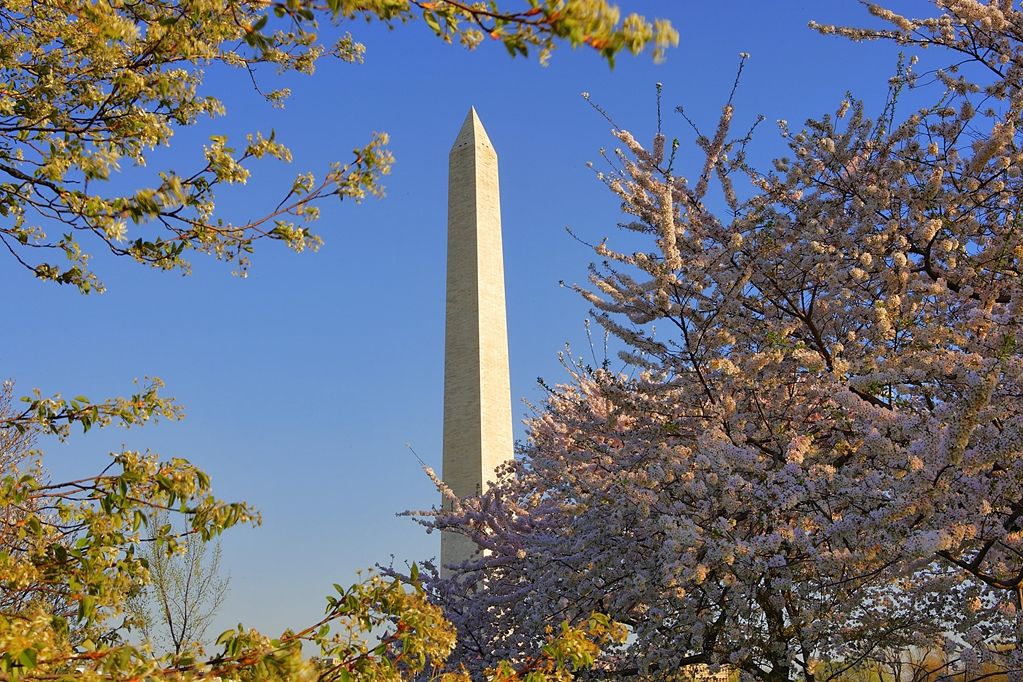 Hyatt Regency Crystal City At Reagan National Airport Arlington Exterior photo